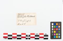 Etikett zu Bronzeanhänger (NHMW-PRAE-026666)